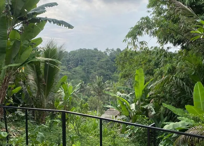 Anindya House Ubud (Bali)